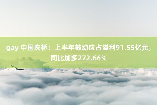 gay 中国宏桥：上半年鼓动应占溢利91.55亿元，同比加多272.66%