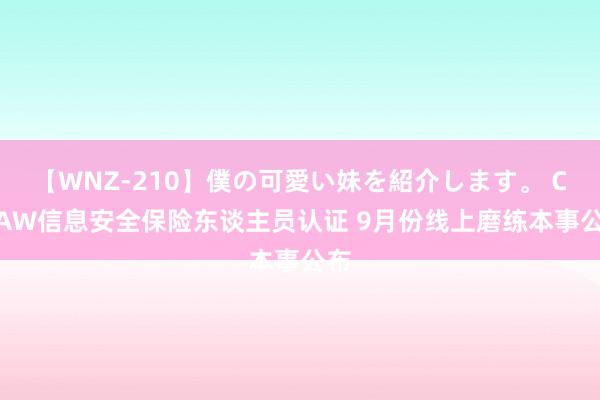 【WNZ-210】僕の可愛い妹を紹介します。 CISAW信息安全保险东谈主员认证 9月份线上磨练本事公布