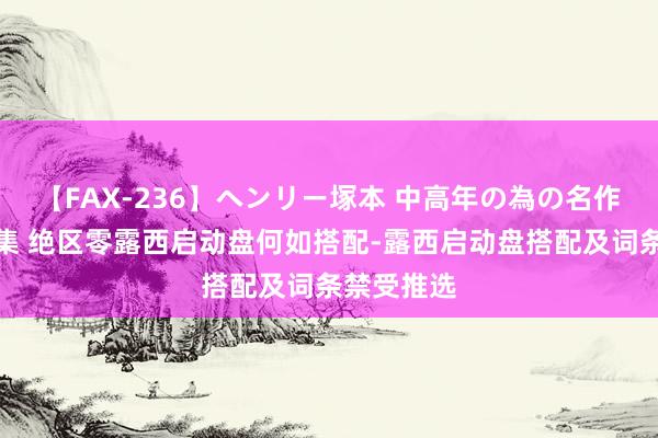 【FAX-236】ヘンリー塚本 中高年の為の名作裏ビデオ集 绝区零露西启动盘何如搭配-露西启动盘搭配及词条禁受推选