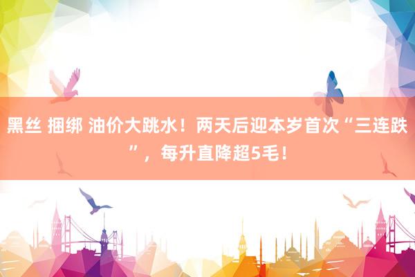 黑丝 捆绑 油价大跳水！两天后迎本岁首次“三连跌”，每升直降超5毛！