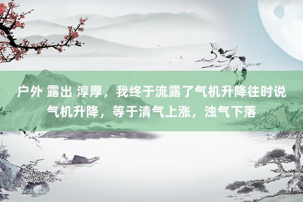 户外 露出 淳厚,我终于流露了气机升降往时说气机升降,等于清气上涨,浊气下落