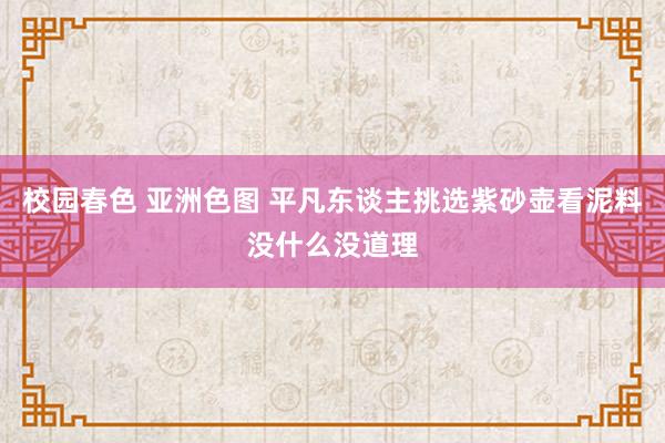校园春色 亚洲色图 平凡东谈主挑选紫砂壶看泥料没什么没道理