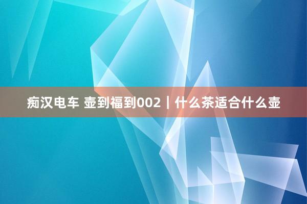 痴汉电车 壶到福到002｜什么茶适合什么壶