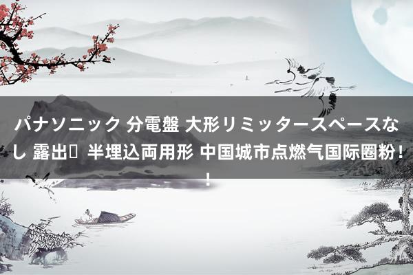 パナソニック 分電盤 大形リミッタースペースなし 露出・半埋込両用形 中国城市点燃气国际圈粉！